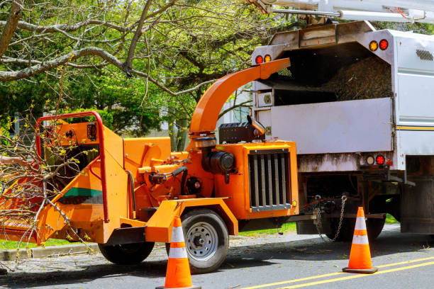 Best Tree Pruning Services  in Ellensburg, WA